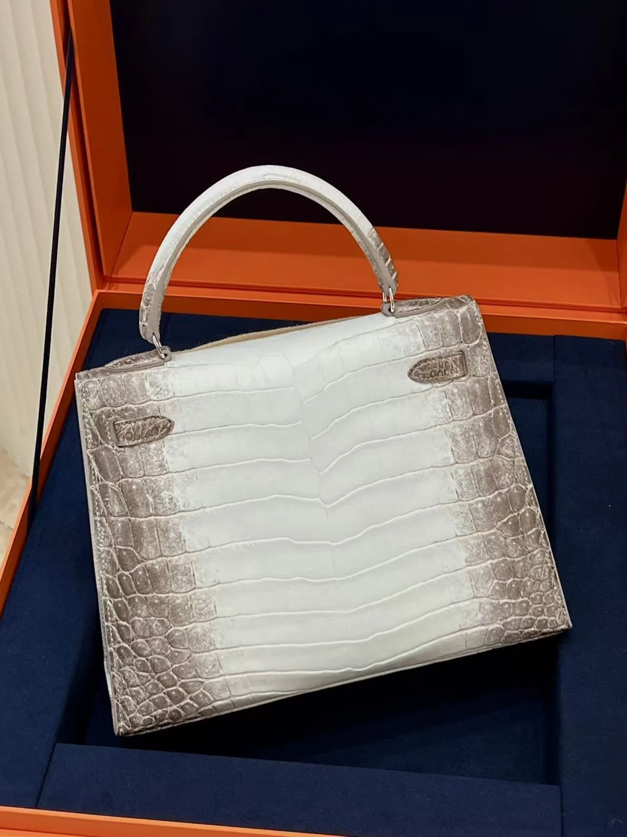 Hermes Kelly 25 Bag Diamond Himalaya Blanc Matte Niloticus Crocodile with 18k White Gold Hardware - Image 2