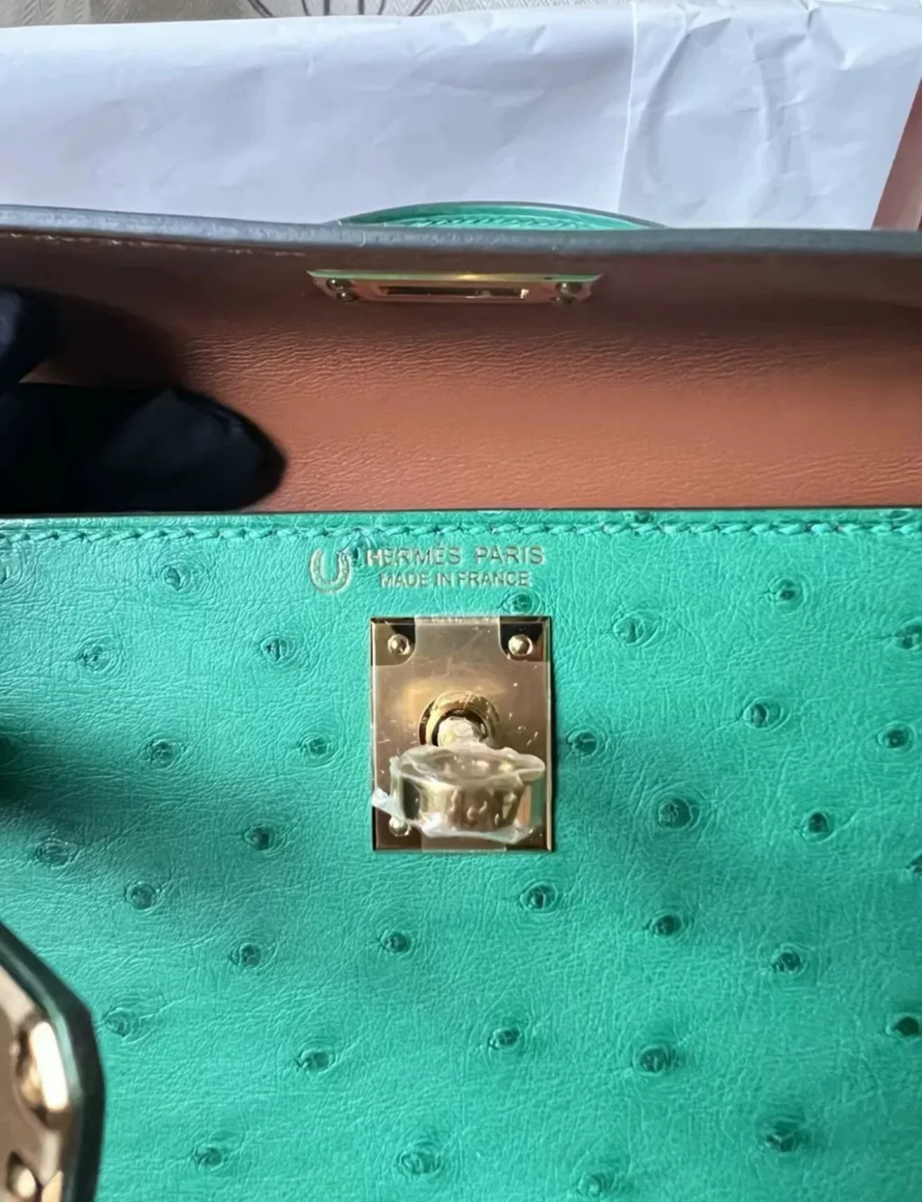 Hermès Kelly Sellier 20 Vert Verone Ostrich Gold Hardware - Image 2
