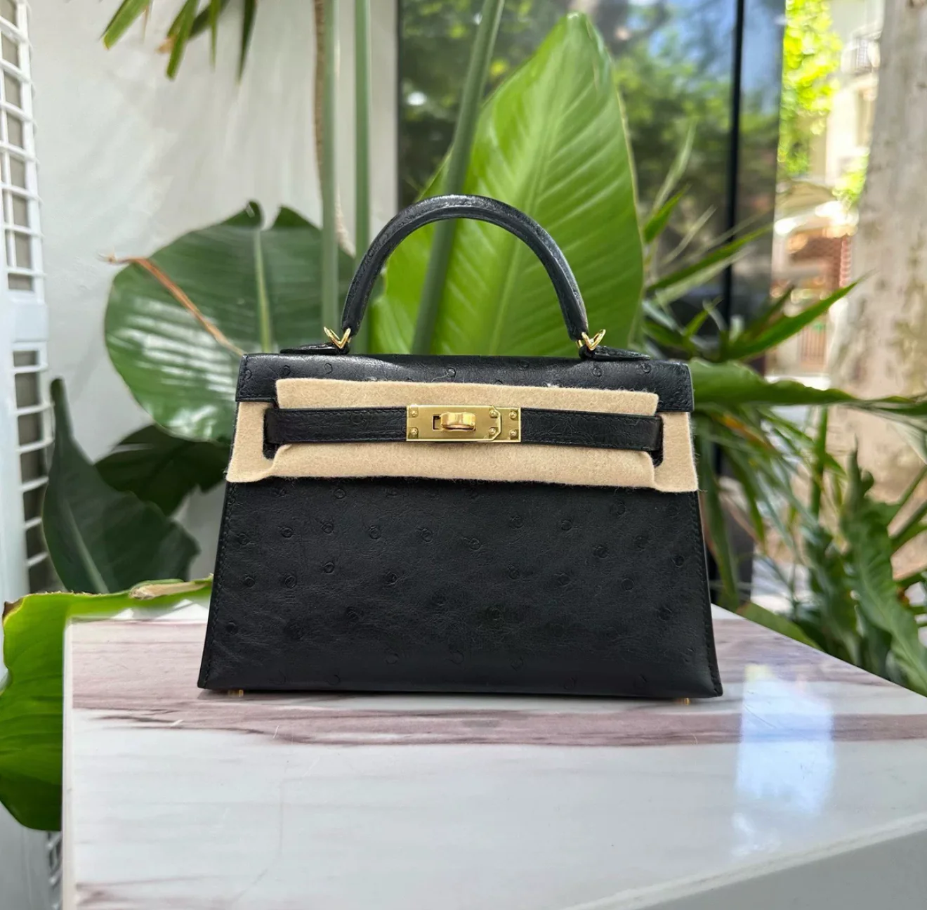 Hermès Mini Kelly Black Ostrich Gold Hardware
