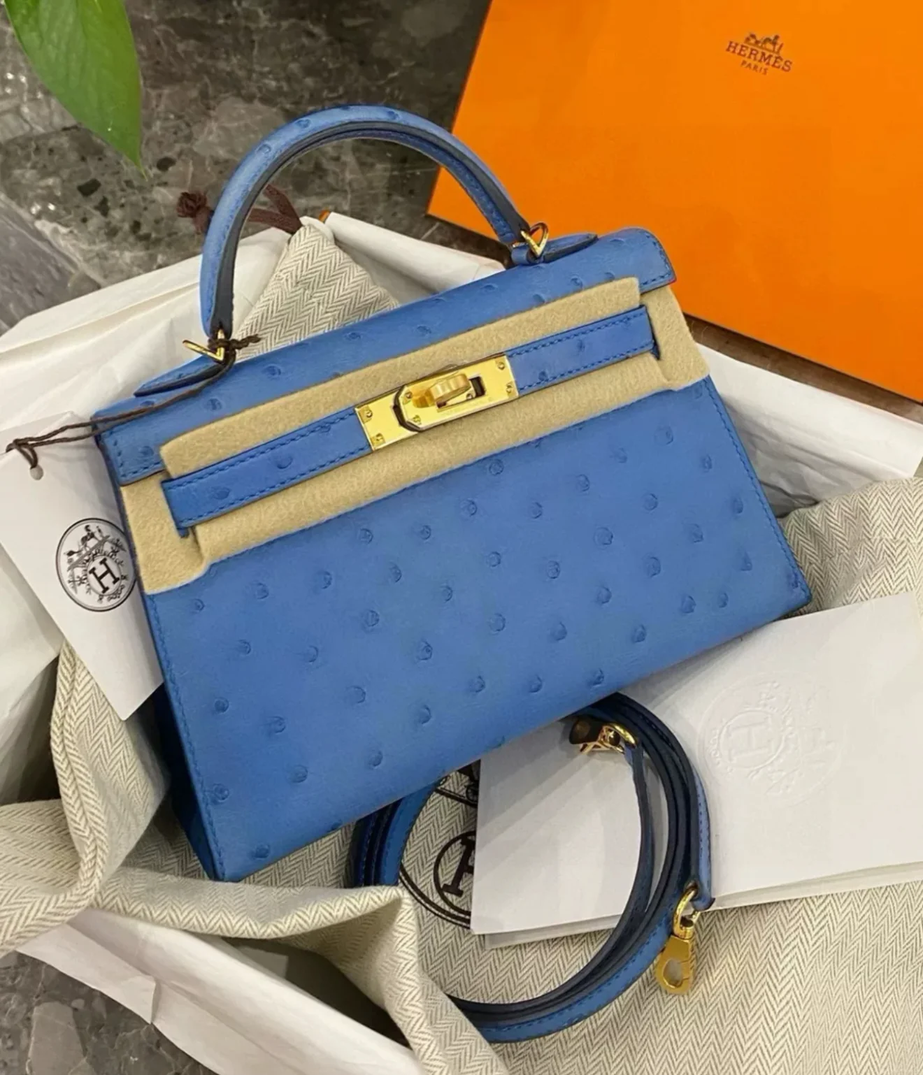 Hermès Mini Kelly bleuet Ostrich leather Gold Hardware - Image 2