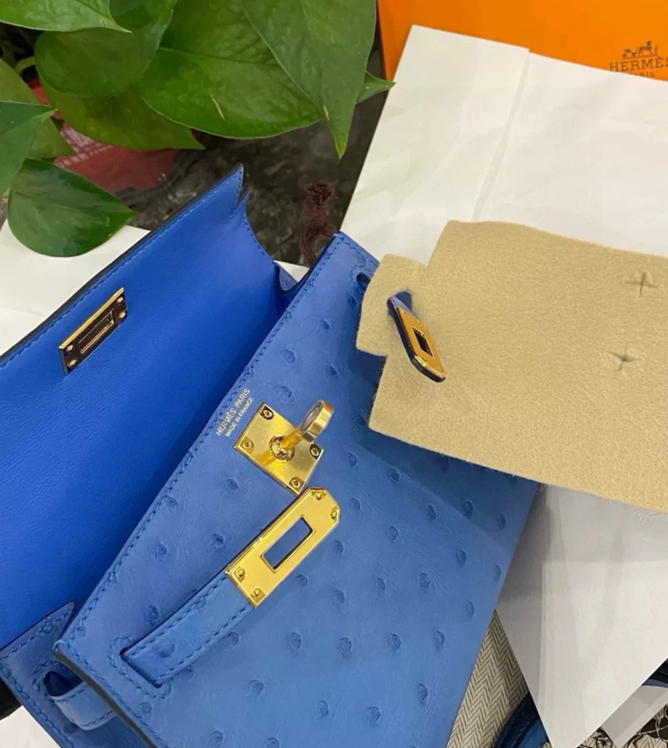 Hermès Mini Kelly bleuet Ostrich leather Gold Hardware - Image 4