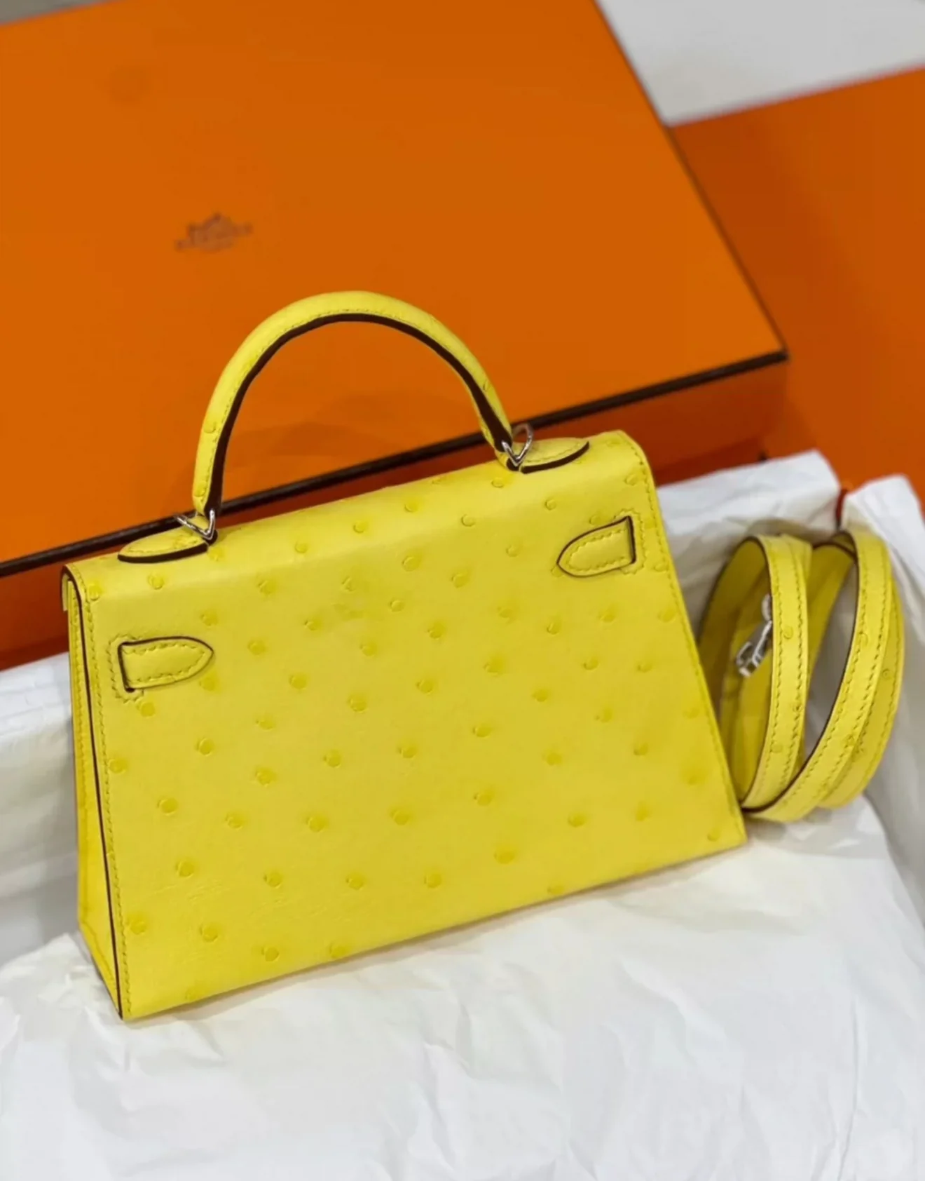 Hermès Mini Kelly Jaune Citron Ostrich leather Palladium Hardware - Image 2
