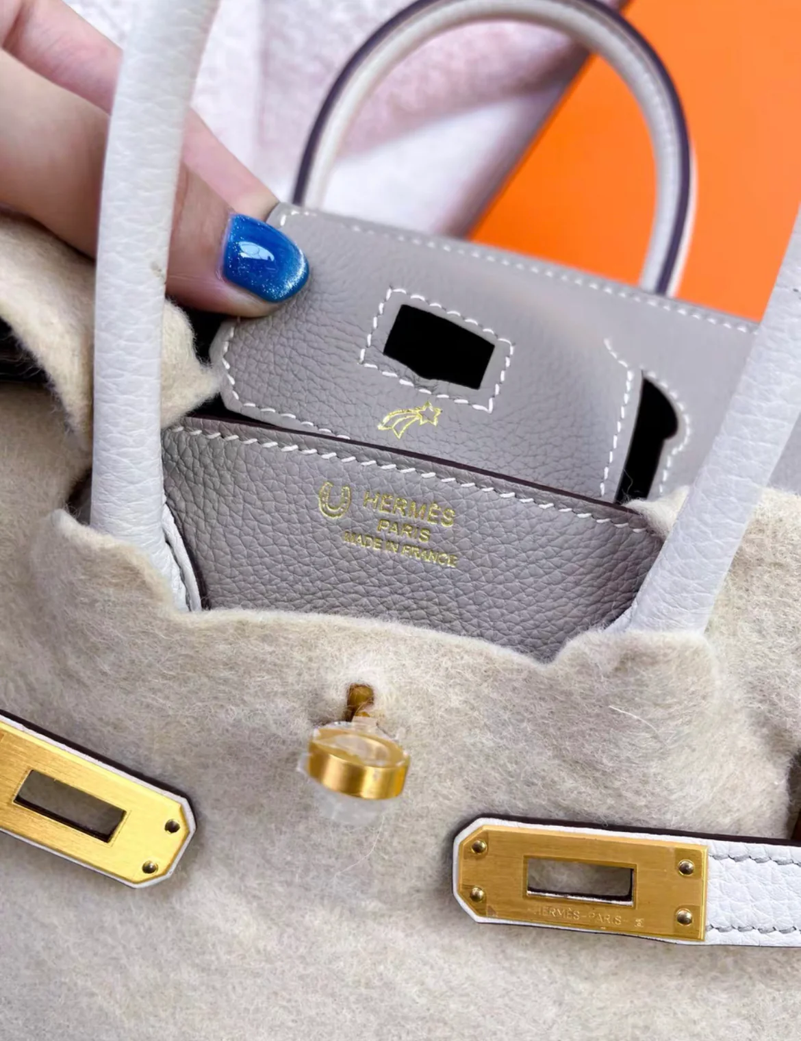 Hermès Special Order (HSS) Birkin 25 Gris and Craie Togo Brushed Gold Hardware - Image 4