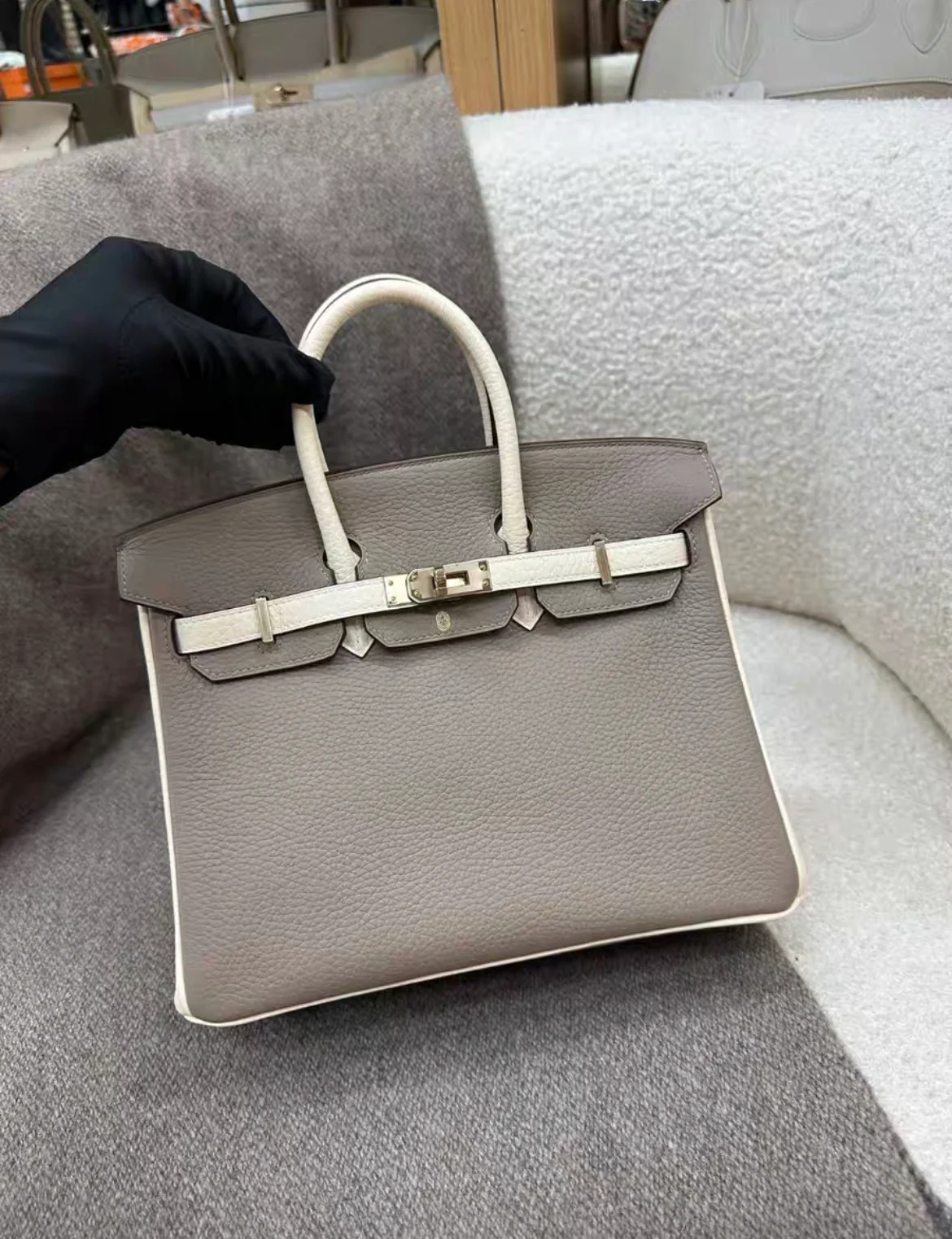 Hermès Special Order (HSS) Birkin 25 Gris and Nata Togo Brushed Gold Hardware - Image 2