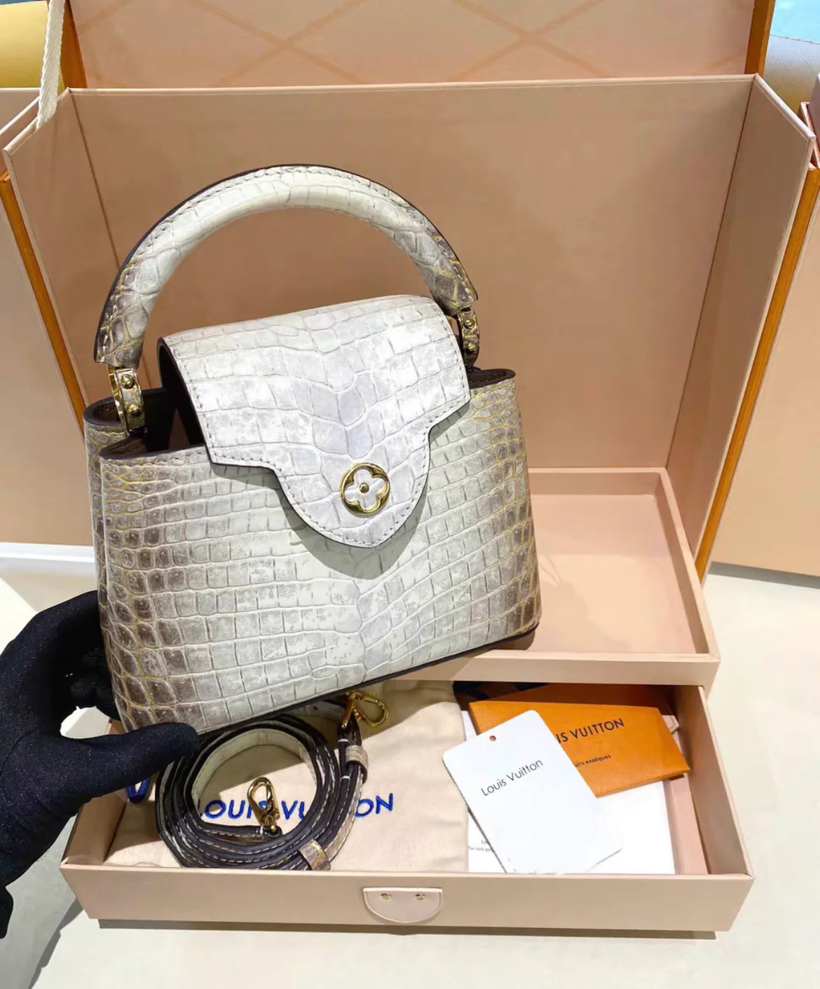 Louis Vuitton White Matte Himalaya Crocodile Mini Capucines - Image 3