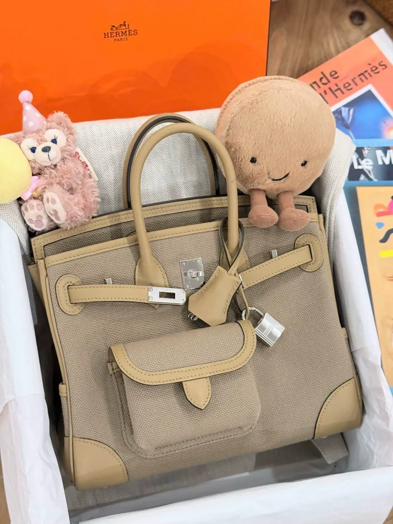 HERMES BIRKIN 25 CARGO TOILE GOELAND/SWIFT BEIGE MARFA/POUSSIERE PALLADIUM HARDWARE - Image 2