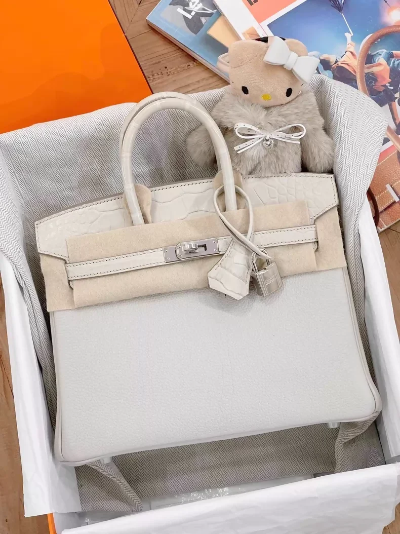 Hermès Birkin 25 Touch Betton Togo Leather & Matte Crocodile Leather Palladium Hardware