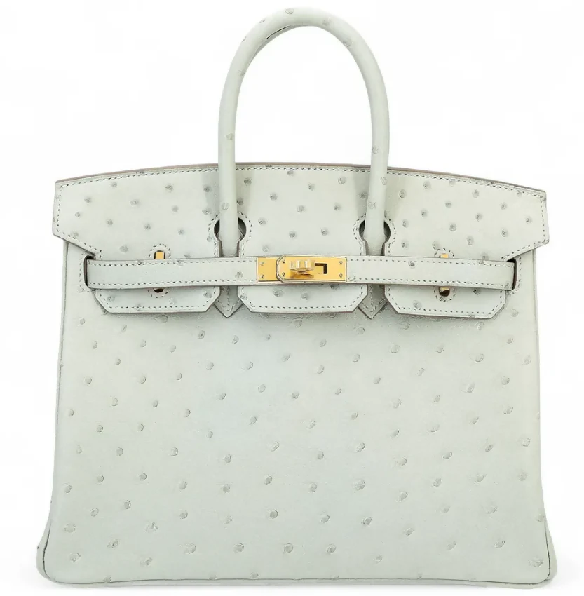HERMÈS Birkin 25 Gris Perle Ostrich leather Gold hardware - Image 2